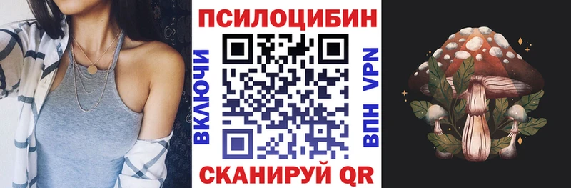 Галлюциногенные грибы мухоморы  МЕГА вход  Раменское  купить закладку 