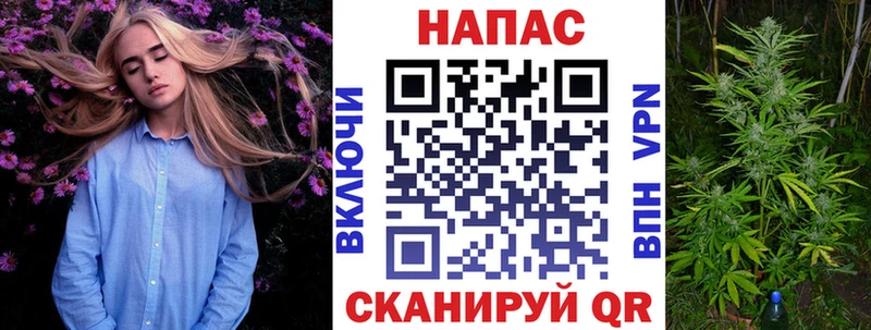 наркотики  Раменское  Канабис сатива 